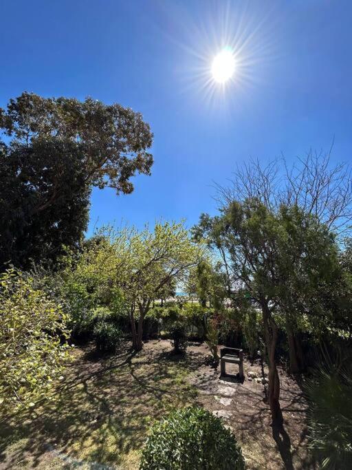 Green Home Front Poetto Beach, Cagliari, By Home&Experience المظهر الخارجي الصورة